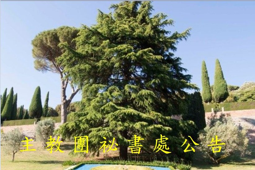 主教團祕書處公告